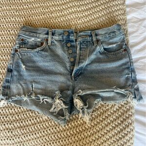 Agolde Parker Shorts